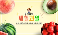 무안 양파 3kg / 5kg - NS홈쇼핑  무안 양파 3kg / 5kg - NS홈쇼핑