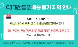 마녀바스켓 한성 간편 즉석 우동 외 5종 가쓰오 튀김맛 해물맛 짬뽕맛 우동 바지락 칼국수 - NS홈쇼핑