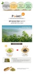 [오리진] 에스 보이차 30포 2박스 - NS홈쇼핑