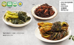 영심푸드 고들빼기김치3kg - NS홈쇼핑