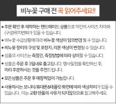 카네이션 비누꽃 하트 플라워박스 꽃바구니 부모님 생신 스승의날 - NS홈쇼핑  카네이션 비누꽃 하트 플라워박스 꽃바구니 부모님 생신... 