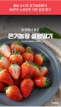 논산 설향 딸기 750g(상)/850g(특) - NS홈쇼핑  논산 설향 딸기 750g(상)/850g(특) - NS홈쇼핑