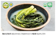 영심푸드 여수갓돌이갓김치3kg+갓물김치3kg - NS홈쇼핑