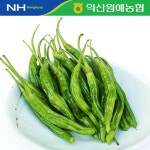 [농협] 한아름드린 꽈리고추3kg - NS홈쇼핑  [농협] 한아름드린 꽈리고추3kg - NS홈쇼핑
