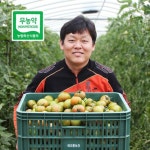 [무농약인증] 대저토마토 3kg(3-4번과) - NS홈쇼핑  [무농약인증] 대저토마토 3kg(3-4번과) - NS홈쇼핑