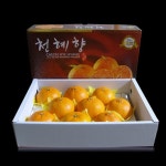 [농협] 한아름드린 천혜향 3kg (특10과내) - NS홈쇼핑  [농협] 한아름드린 천혜향 3kg (특10과내) - NS홈쇼핑