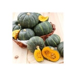 포근포근 서천 미니 밤호박3kg(6~8수)/2개 주문시 7kg발송 - NS홈쇼핑  포근포근 서천 미니 밤호박3kg(6~8수)/2개 주문시 7kg발송 - NS홈쇼핑