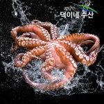 [덕이네수산] 100%국내산 남해안 싱싱 문어500g/ 무료배송 - NS홈쇼핑  [덕이네수산] 100%국내산 남해안 싱싱 문어500g/ 무료배송 - NS홈쇼핑