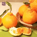 [과일예찬] 제주 한라봉 3kg(10-12과내) - NS홈쇼핑  [과일예찬] 제주 한라봉 3kg(10-12과내) - NS홈쇼핑