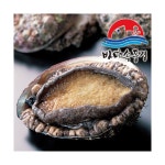 바다속풍경 완도참전복 1kg(23~25미) - NS홈쇼핑  바다속풍경 완도참전복 1kg(23~25미) - NS홈쇼핑