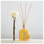 [AK분당][에르바리오 토스카노] 디퓨저 럭셔리 아마레또앤바닐라 250ml - NS홈쇼핑  [AK분당][에르바리오 토스카노] 디퓨저 럭셔리... 