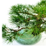 오피스디포 공식쇼핑몰