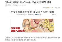 대륙의 개미집<사진관 【ORBIS OPTIMUS】 
