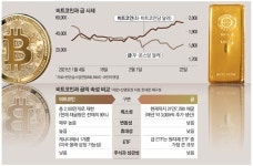 옐런 발언에 휘청인 비트코인…시장선 희소성 큰 디지털金 | 뉴스 | 뉴스/시세 - 팍스넷 증권포털