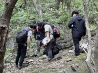 나무가(190510) 종목뉴스 | 뉴스/시세 - 팍스넷 증권포털