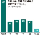 최신뉴스 | 뉴스 - 팍스넷 증권포털