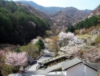 서산(079650) 종목뉴스 | 뉴스/시세 - 팍스넷 증권포털