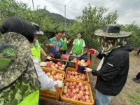 수박농장 | 통합검색 - 팍스넷 증권포털