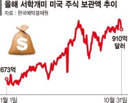 미국 주식 보관액 132조 사상 최고… 최애종목은 테슬라 | 뉴스 | 뉴스/시세 - 팍스넷 증권포털