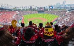 오미크론, 폐 손상 적어 증상 가벼운 듯 동물실험 결과 | 뉴스 | 뉴스/시세 - 팍스넷 증권포털