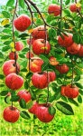 국내최대 미술품경매 - 포털아트 풍요로운 축복 *(47cm x 71.5cm) 캔버스에 유채 2021 *액자없음* *작품상세참조*