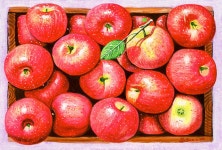 국내최대 미술품경매 - 포털아트 풍요로운 축복 *15M(65.2cm x 45.5cm) 캔버스에 유채 2021 *액자없음* *작품상세참조*