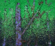 국내최대 미술품경매 - 포털아트 바람과 숲 *변형25호(73cm x 64cm 약24호) 캔버스+한지+아크릴 2007 *유리액자 상세내용참조*