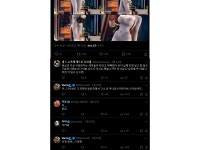 아지매들 쳐긁힌 동탄피규어