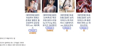 아지매들 쳐긁힌 동탄피규어