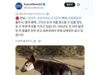 현시각 프랑스 언론, 서구우월주의라고 개까여