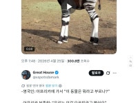 현시각 프랑스 언론, 서구우월주의라고 개까여