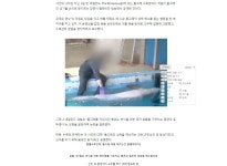 돌고래 대1딸 쳐주다 고소당한 수족관