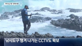 약해서 못 버틴다?…야자수 농장 재현 실험 결과는 | 풀빵닷컴 약해서 못 버틴다?…야자수 농장 재현 실험 결과는