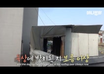 빡치는 동물 농장 사연