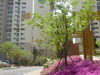 부동산 빅데이터, 부동산114 [부동산114] [아파트] 민속마을3단지현대모닝사이드 309동 매매 희망가격 66,000만원