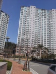 부동산114 [부동산114] [아파트] 탑실마을대주피오레1단지 109동 전세 희망가격 24,000만원