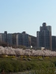 부동산114 [부동산114] [아파트] 코오롱하늘채 105동 매매 희망가격 43,000만원