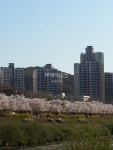 부동산114 [부동산114] [아파트] 코오롱하늘채 105동 매매 희망가격 43,000만원