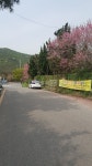 부동산 빅데이터, 부동산114 [부동산114] [토지] 계산동 매매 희망가격 167,200만원