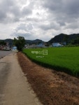 부동산114 [부동산114] [토지] 광덕면 매매 희망가격 36,000만원