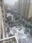 부동산114 [부동산114] [아파트] 신봉자이1차 123동 매매 희망가격 50,000만원
