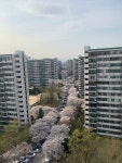 부동산114 [부동산114] [아파트] 주공5단지 504동 매매 희망가격 210,000만원