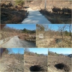 부동산 빅데이터, 부동산114 [부동산114] [토지] 예천읍 매매 희망가격 15,000만원
