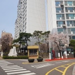 부동산 빅데이터, 부동산114 [부동산114] [아파트] 리버힐삼성 109동 매매 희망가격 165,000만원