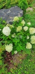 부동산 빅데이터, 부동산114 [부동산114] [아파트] 해운대더샵센텀그린 107동 전세 희망가격 32,000만원