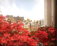 부동산 빅데이터, 부동산114 [부동산114] [아파트] 공덕자이 104동 매매 희망가격 138,000만원