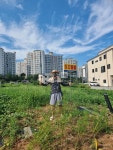 부동산 빅데이터, 부동산114 [부동산114] [토지] 홍성읍 매매 희망가격 31,500만원