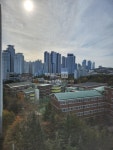 부동산 빅데이터, 부동산114 [부동산114] [아파트] 효성코오롱 105동 전세 희망가격 45,000만원