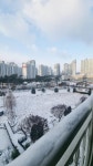 부동산 빅데이터, 부동산114 [부동산114] [아파트] 동일하이빌 114동 매매 희망가격 45,000만원