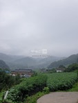 부동산 빅데이터, 부동산114 [부동산114] [토지] 대강면 매매 희망가격 15,000만원